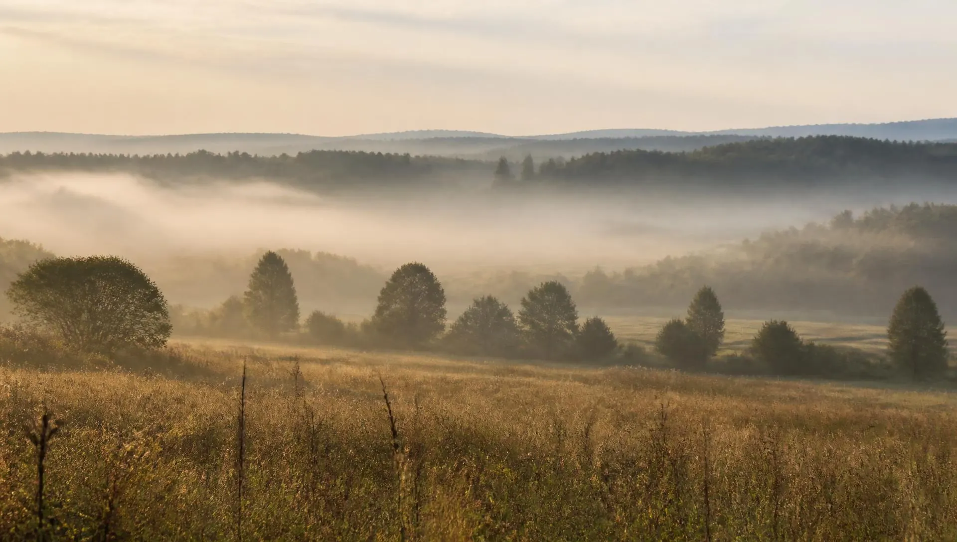 Warm Virginia landscape near McLean, where Harlan Therapy sees patients by telehealth